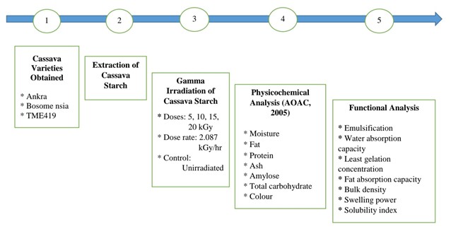Physicochemical and Functional Properties of Cassava Starch from Different Varieties as Affected by Gamma Irradiation 