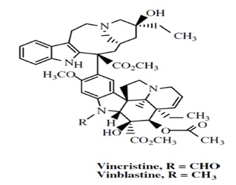 Review on Iranian Medicinal Plants with anticancer Properties 