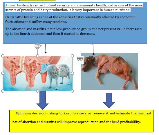 Determining Effective Structures on Herd Replacement Rate and Cow Culling by Optimizing the Production System for Mastitis and Abortion 