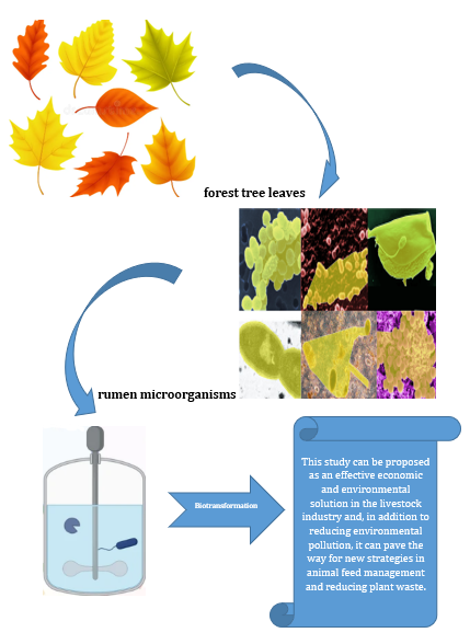 Using Rumen Microorganisms for the Biotransformation of Forest Tree Leaves under Laboratory Conditions 