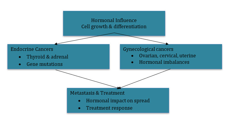 The Role of Hormones in the Onset and Progression of Endocrine and Gynaecological Cancers 