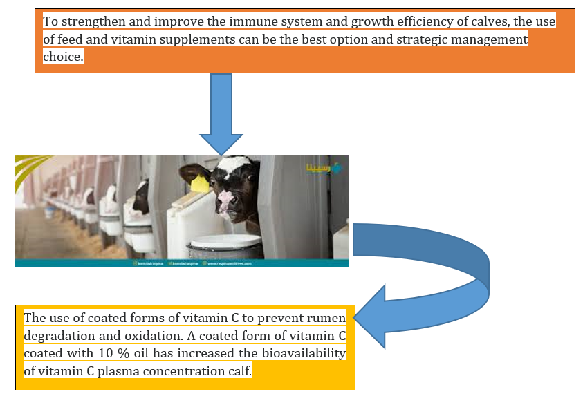Investigating the Effects of the Micellized Vitamin C Supplementation on the Performance and Blood Parameters of Suckling Calves 
